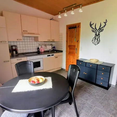 公寓 Seeblick Am Malchiner *